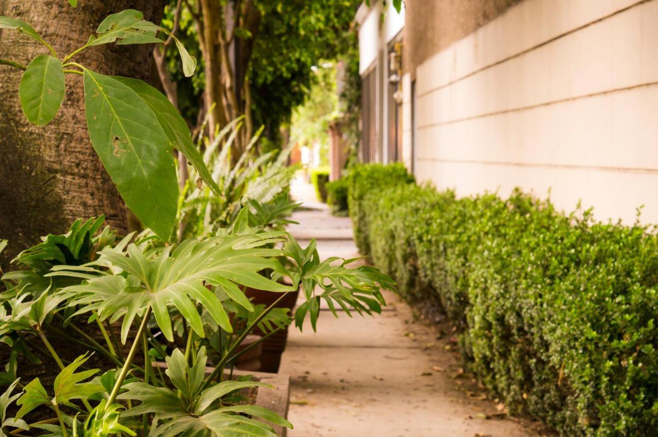 Apartment 1-a Monasterio Garden House Welcome To San Angel Mexico City