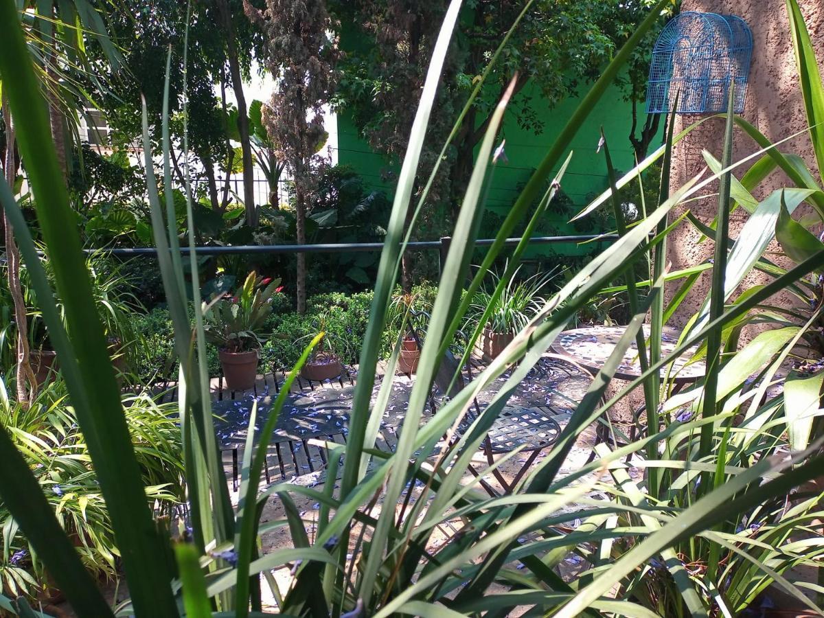 1-a Monasterio Garden House Welcome To San Angel Apartment Mexico City